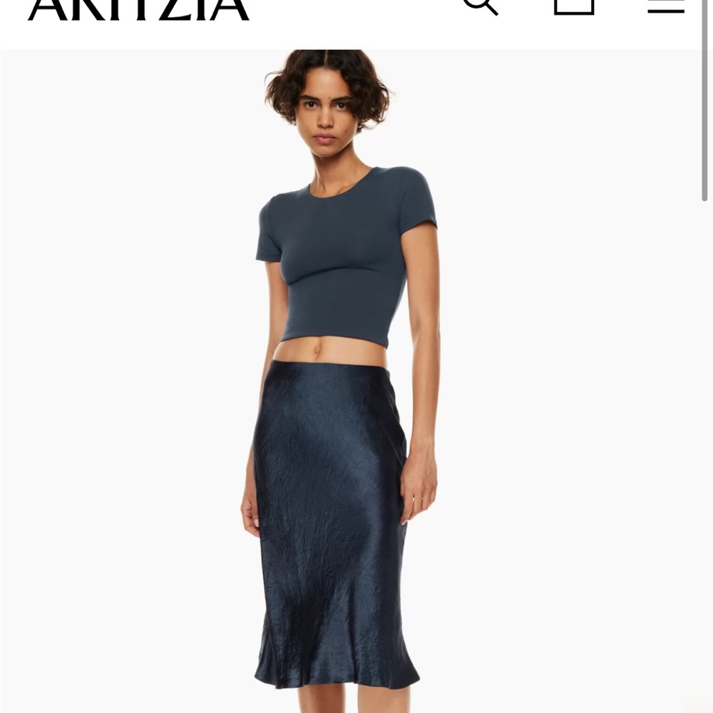 Aritizia babaton slip skirt